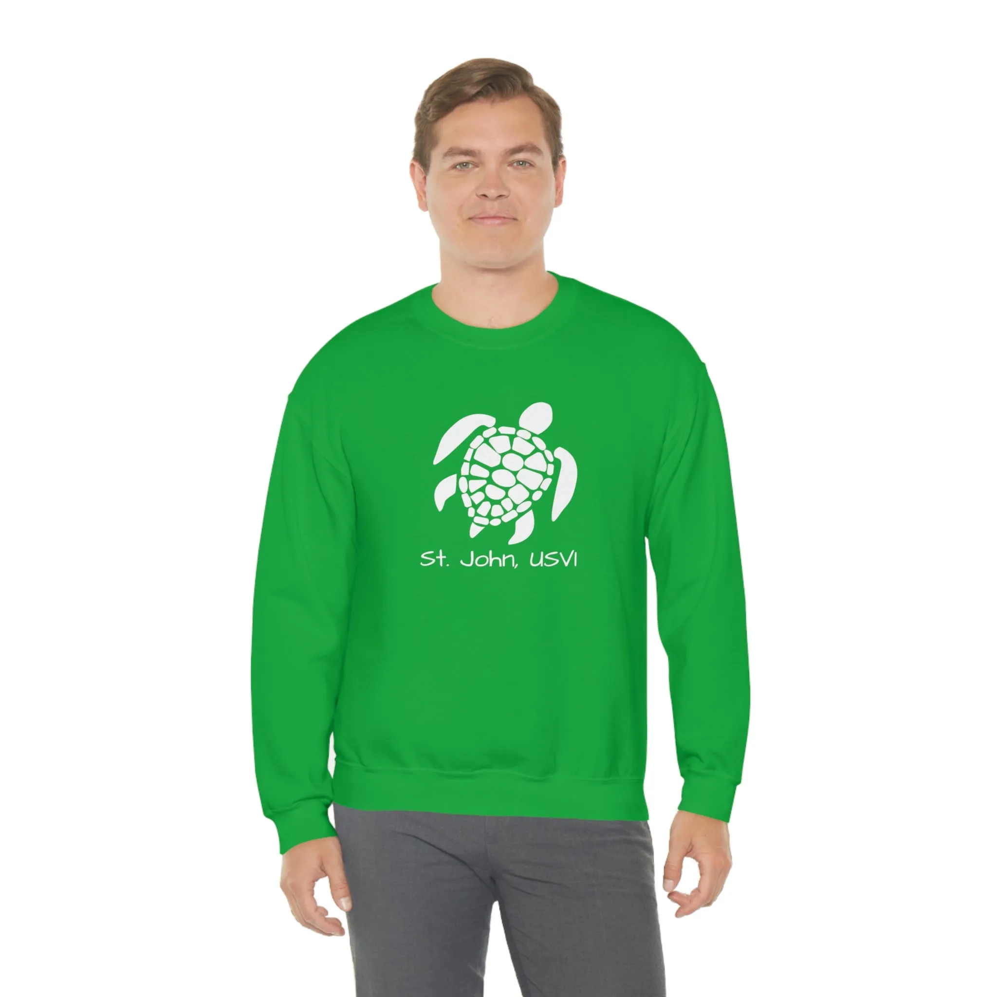 Pattern Turtle Crewneck Sweatshirt