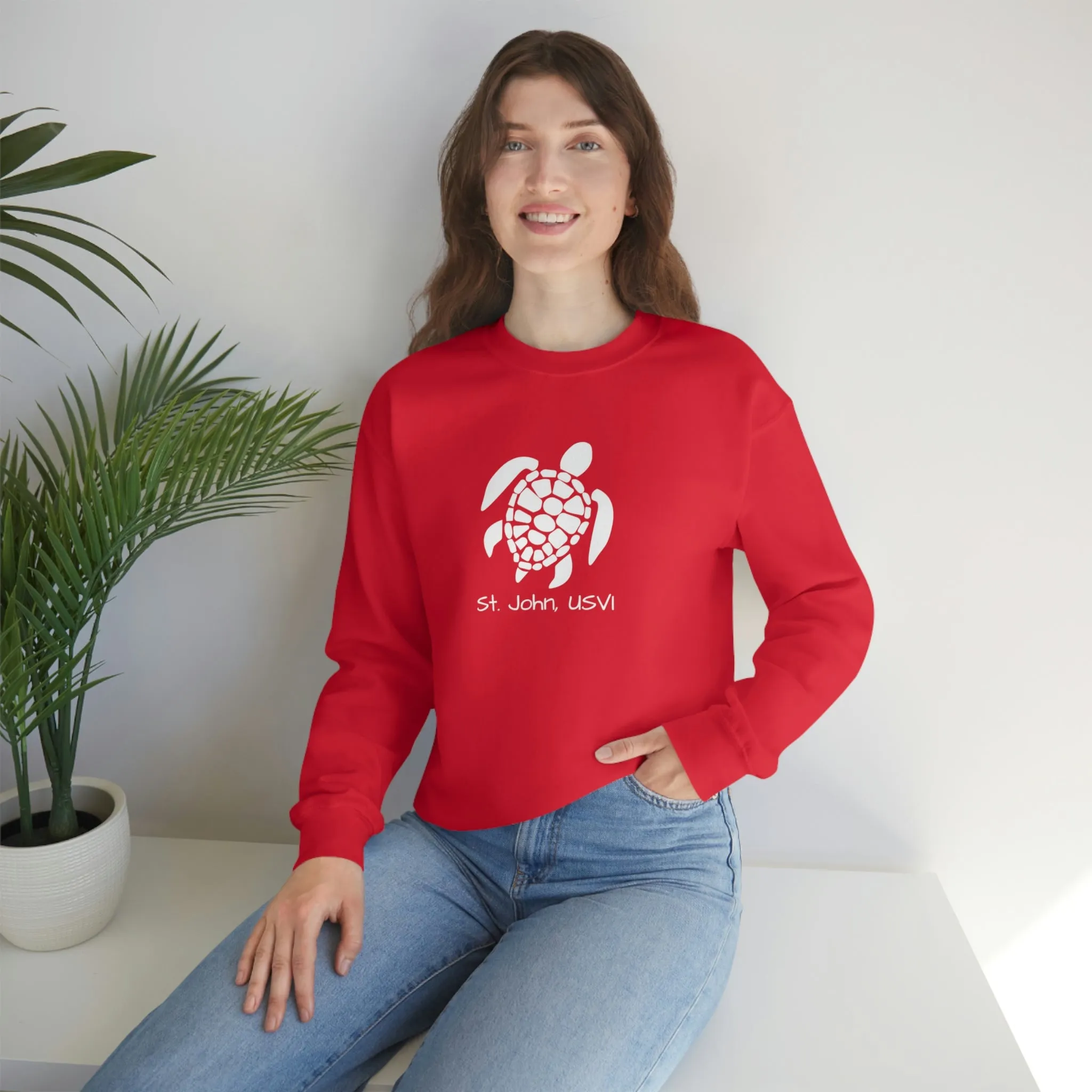 Pattern Turtle Crewneck Sweatshirt