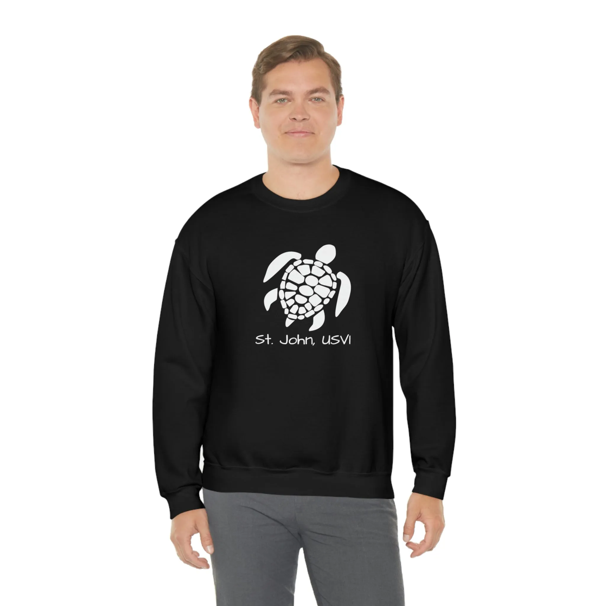 Pattern Turtle Crewneck Sweatshirt