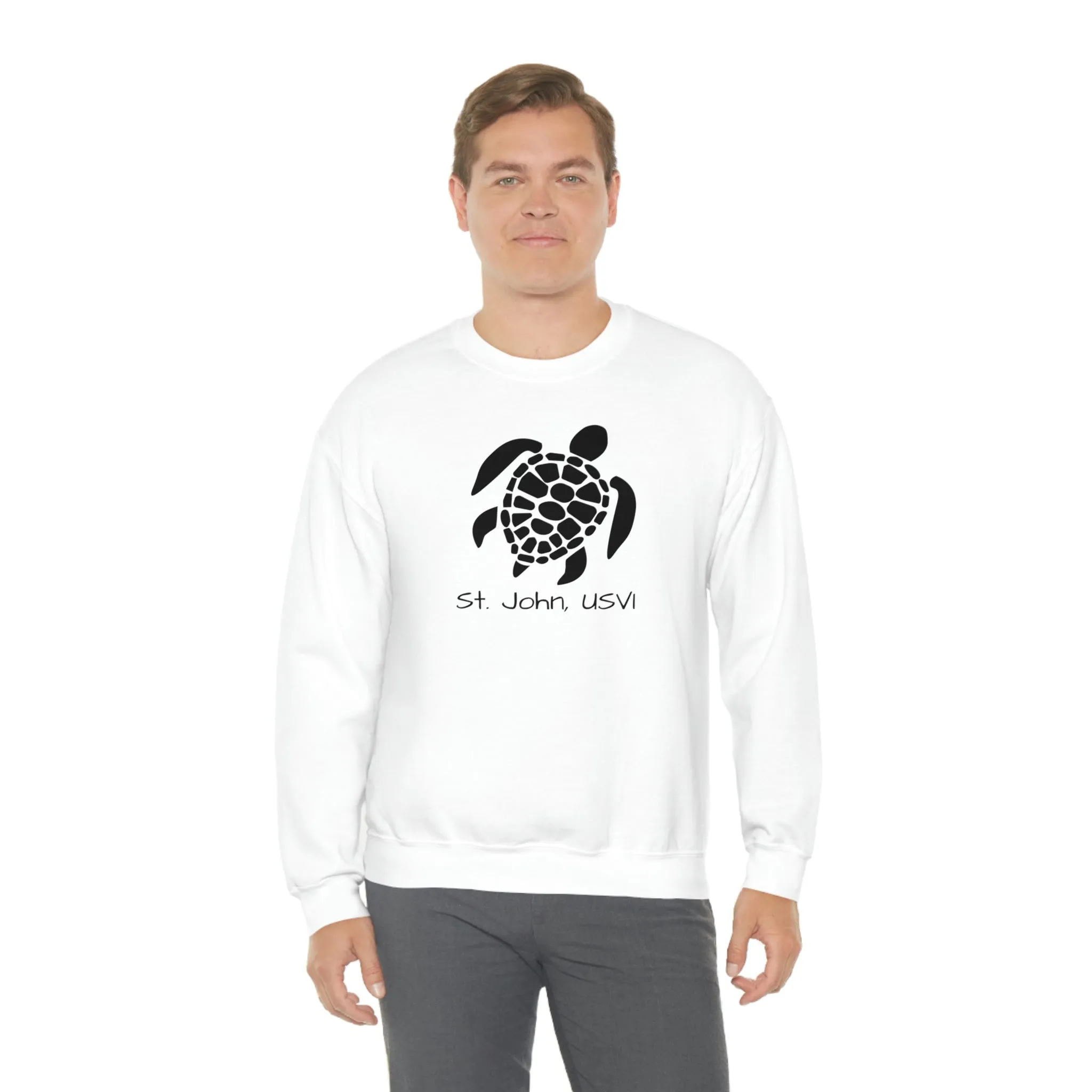 Pattern Turtle Crewneck Sweatshirt