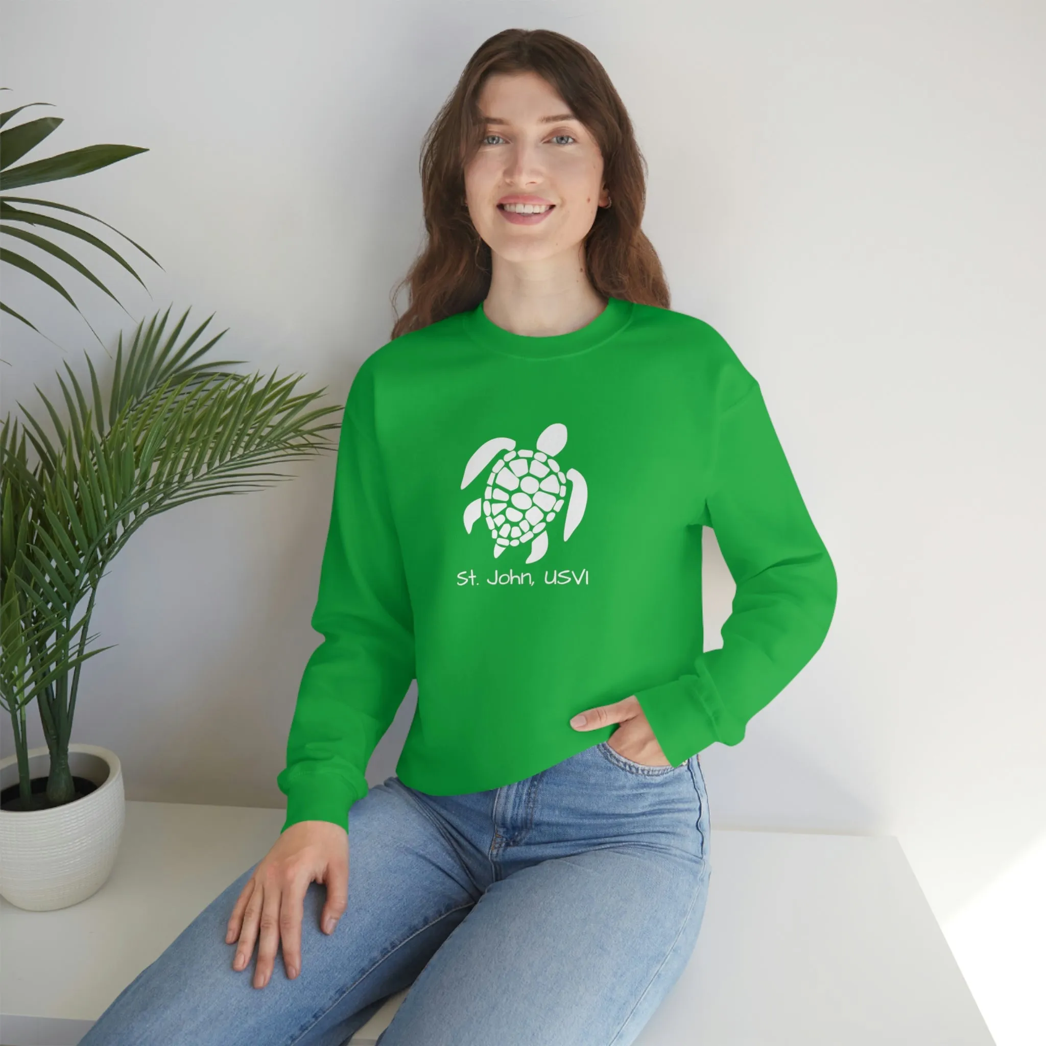 Pattern Turtle Crewneck Sweatshirt