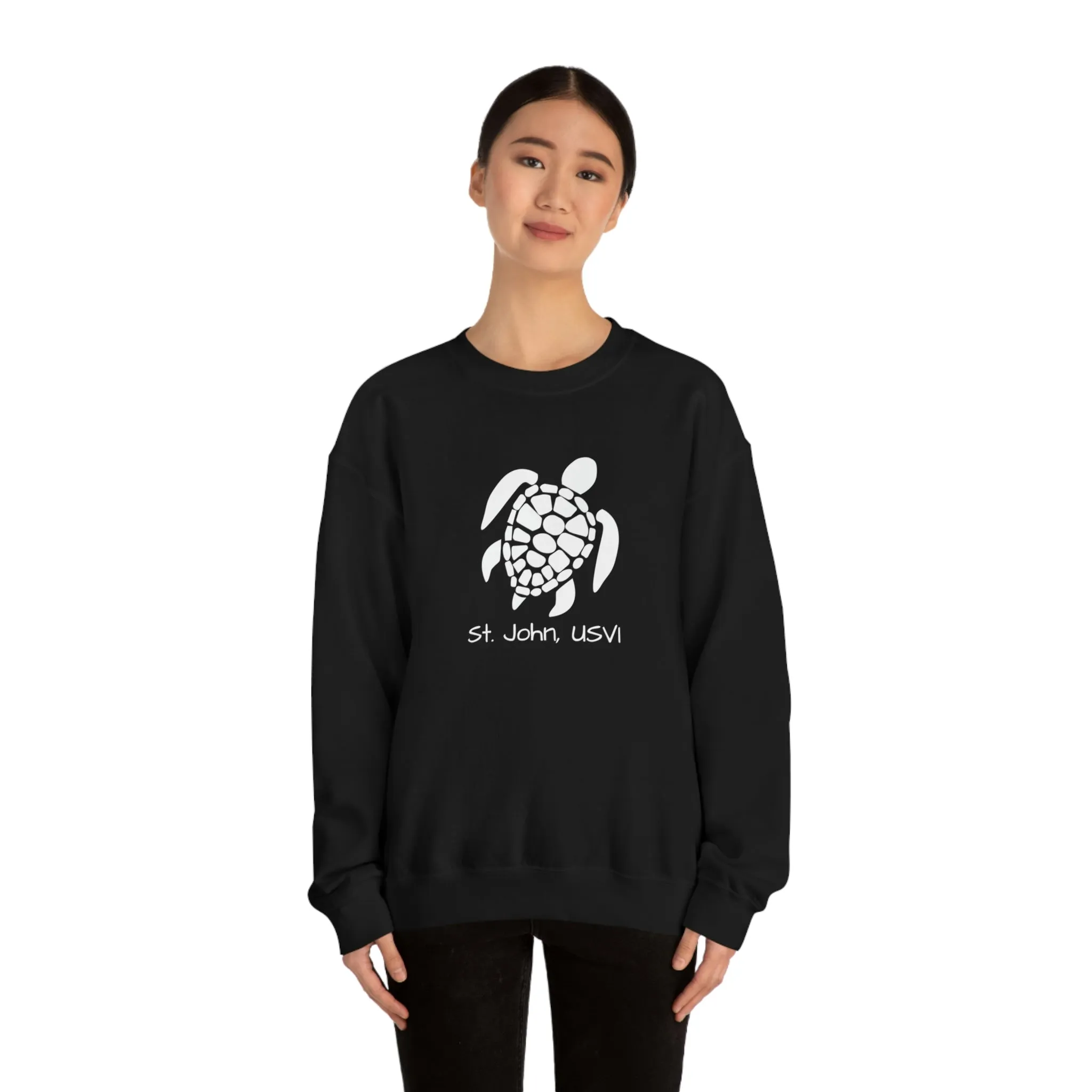 Pattern Turtle Crewneck Sweatshirt