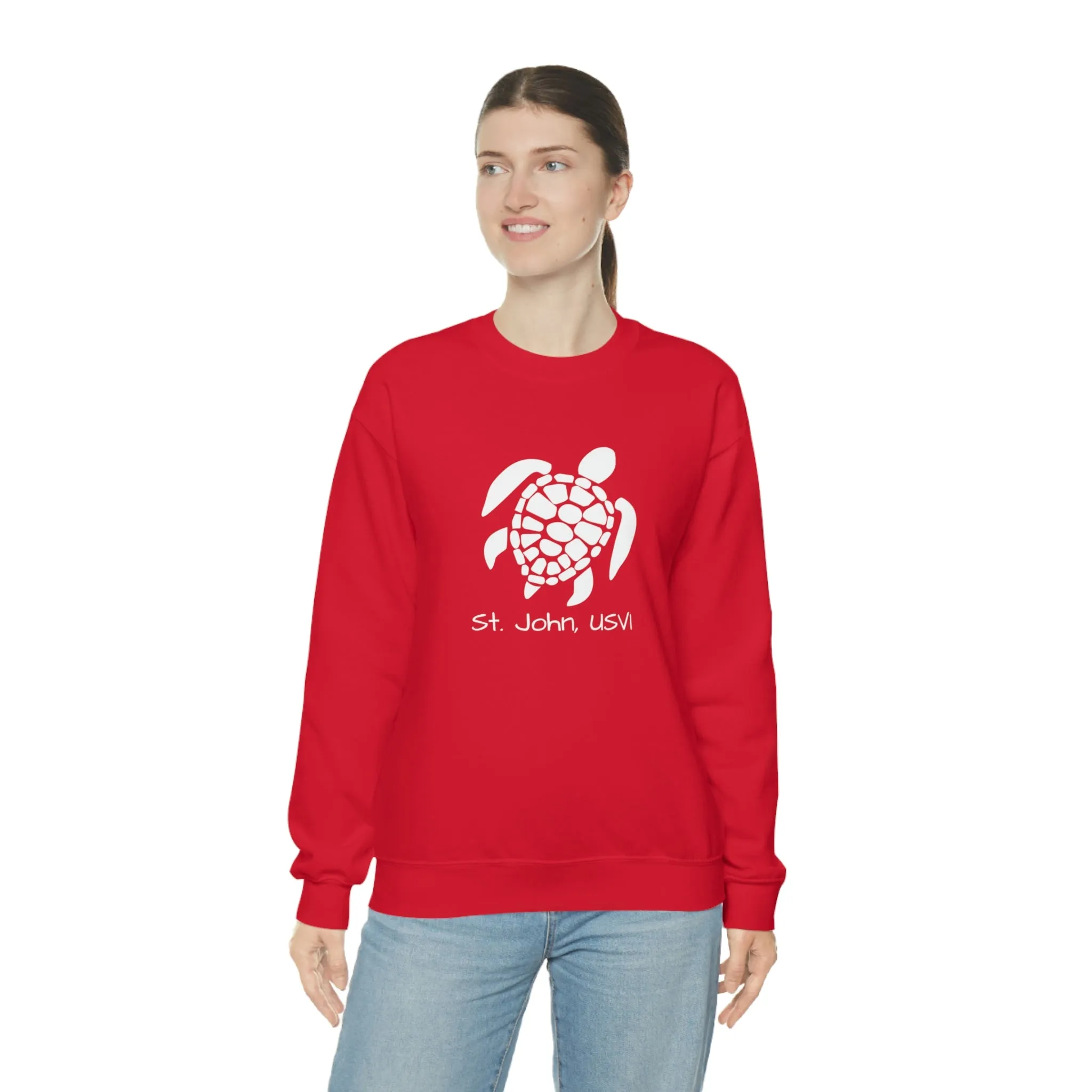 Pattern Turtle Crewneck Sweatshirt