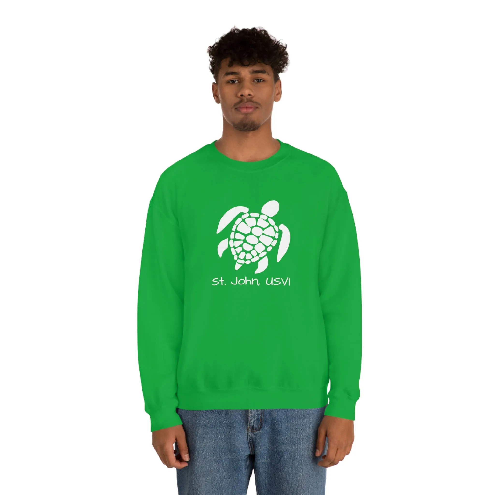 Pattern Turtle Crewneck Sweatshirt