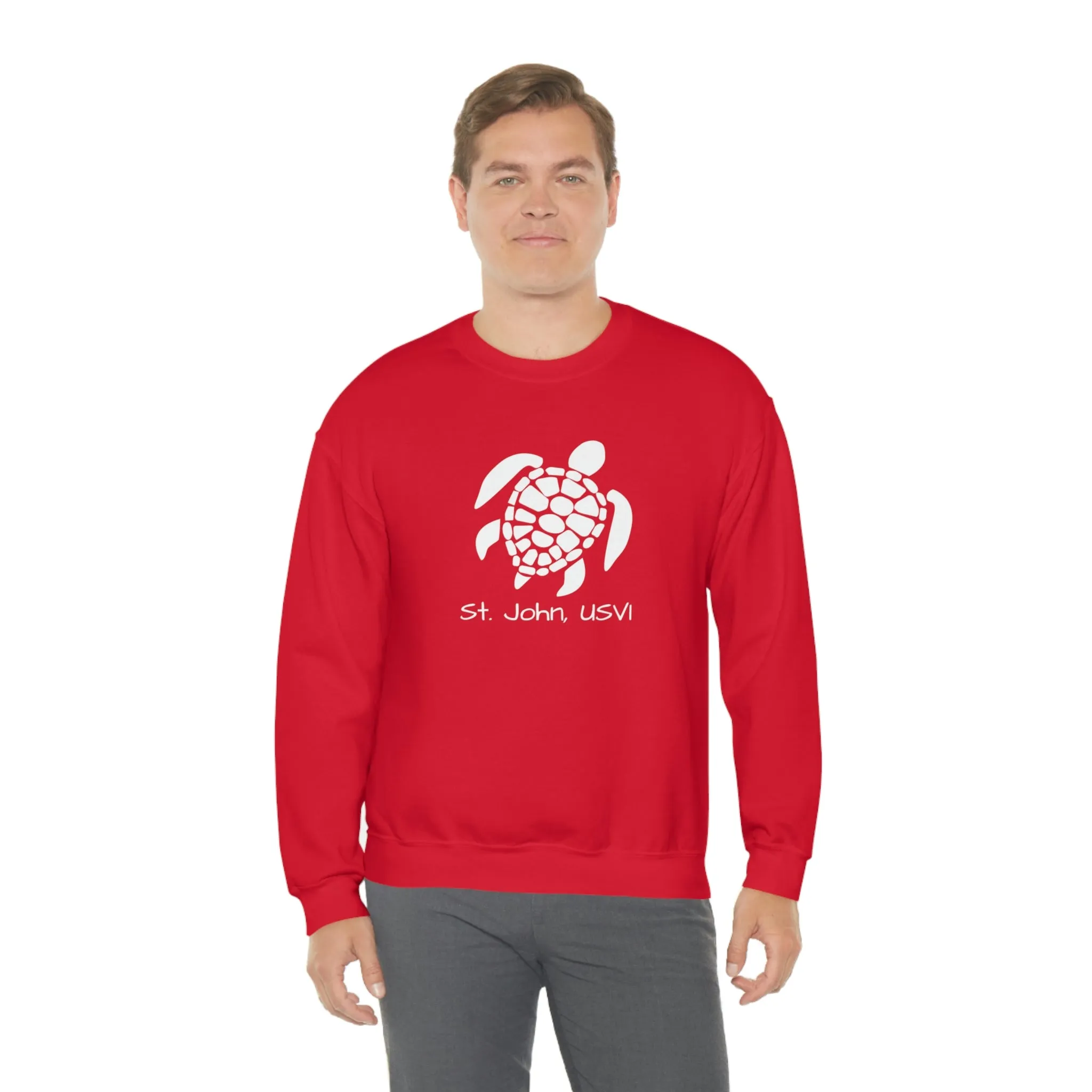 Pattern Turtle Crewneck Sweatshirt