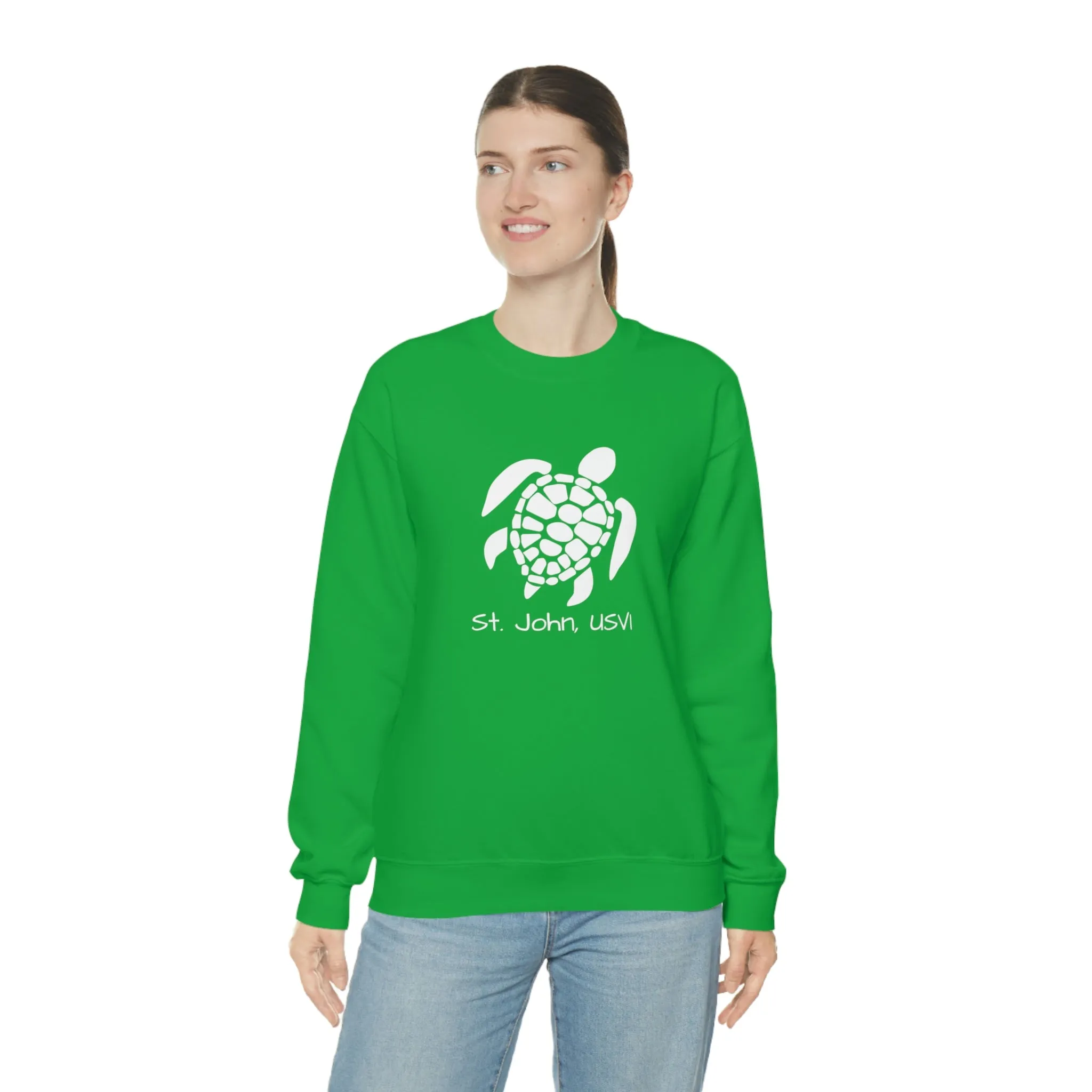 Pattern Turtle Crewneck Sweatshirt