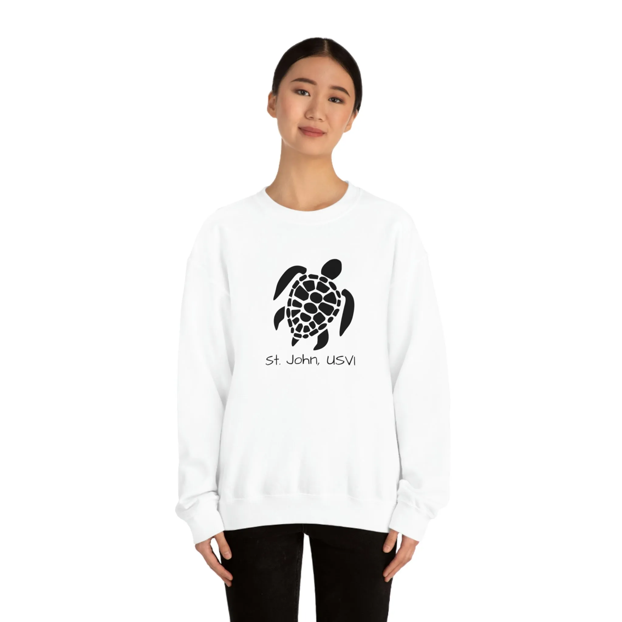 Pattern Turtle Crewneck Sweatshirt