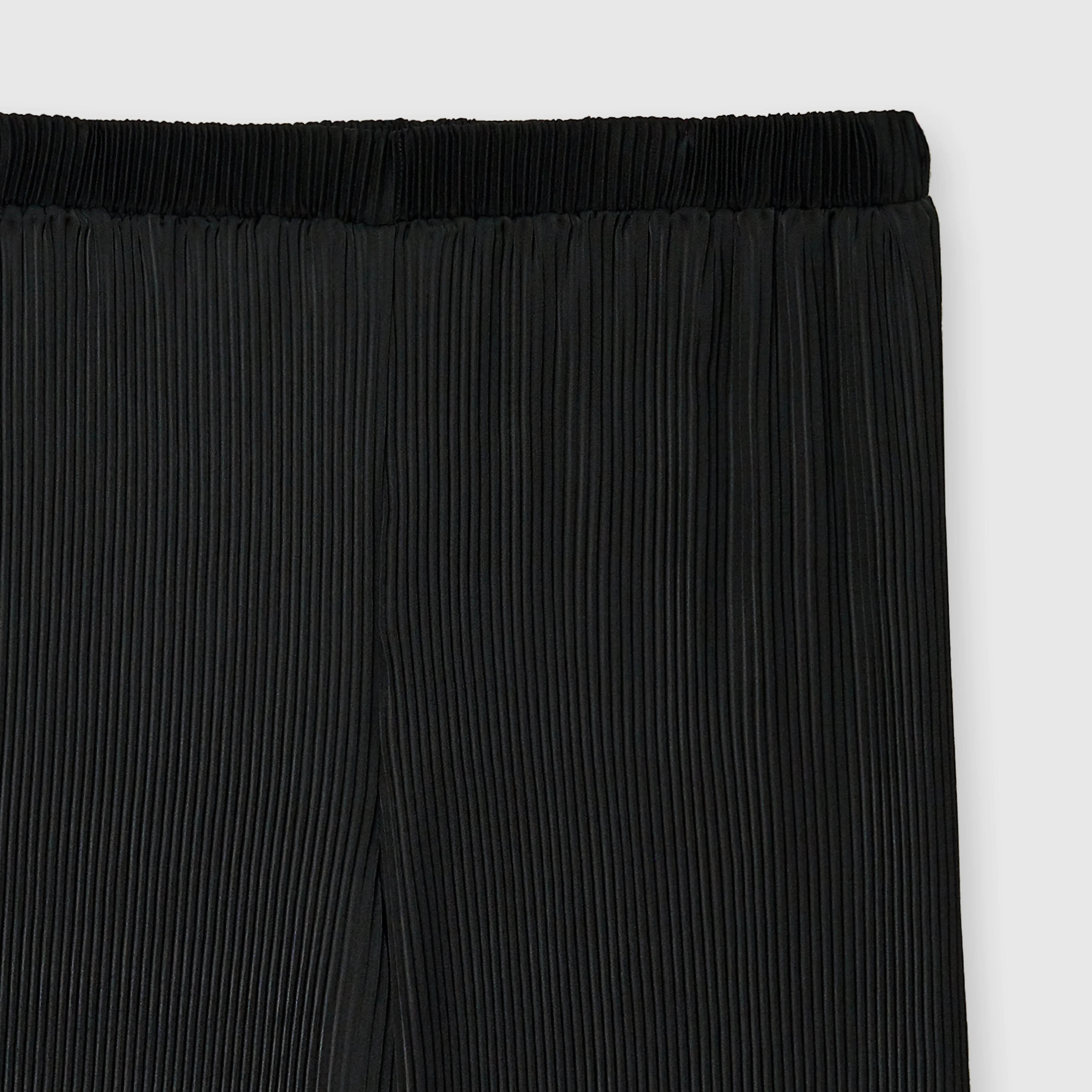 Pleated Wide Leg Pants